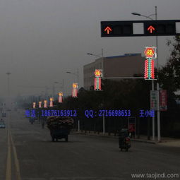 led戶外景觀燈價格,led造型燈安裝效果圖,燈桿裝飾造型燈價格 廠家 圖片