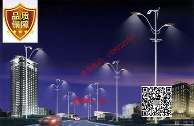 廣西壯族自治區欽州景觀燈價格與廠家直銷指南——一步電子網戶外景觀燈選購攻略